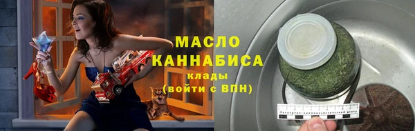 ECSTASY Лагань