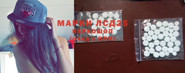 ECSTASY Лагань