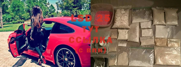 ECSTASY Лагань