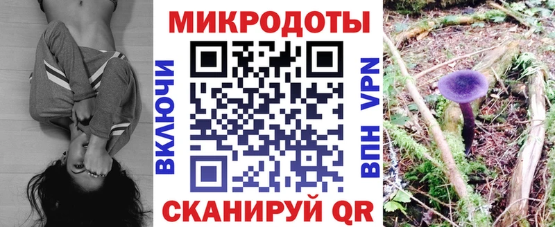 Купить Омск Галлюциногенные грибы Psilocybe